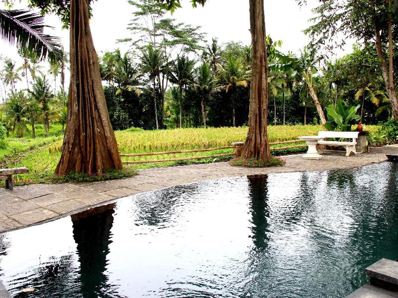 Rice terrace scenery in rural Bali